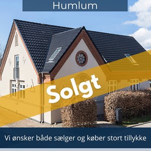 Opslagsbillede