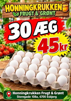 opslagsbillede