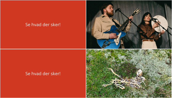 Det kommende uge i Otterup: Koncert med Mavír og Natur & Nærvær møde