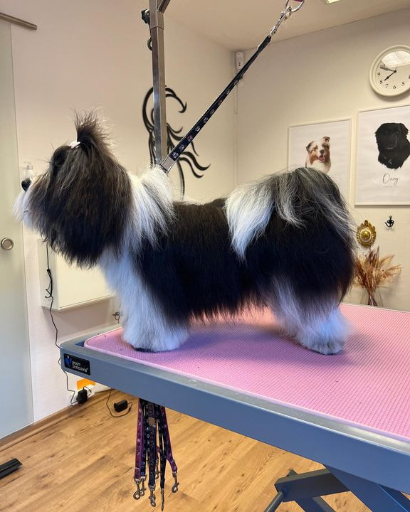 En finger på pulsen i Vejle