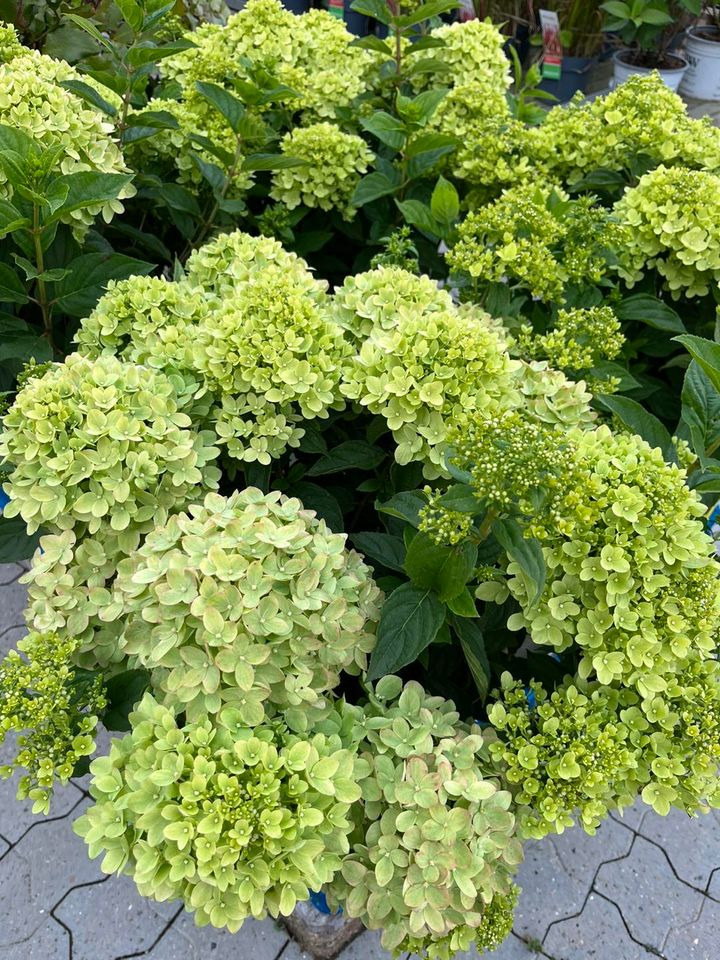 Se dagens updates fra Odder her