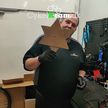 Opslagsbillede