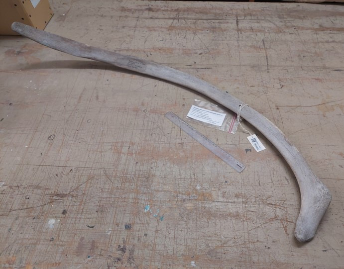 Se dagens updates fra Holstebro her