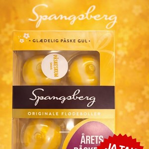Opslagsbillede