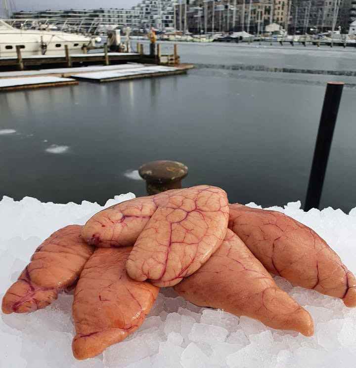 Havnens Fisk Øster Hurup holder ekstraordinært åbent med tilbud på fiskefileter og stjerneskud