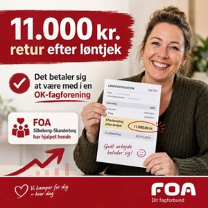 Opslagsbillede