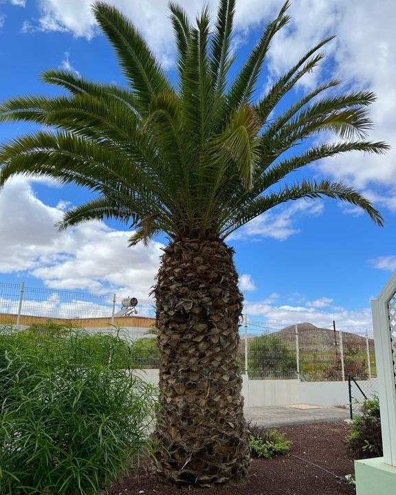 Opdatér dig her: Det nyeste fra Lystrup