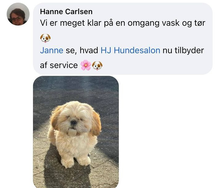 Opslagstavlen: Nyeste opdateringer fra Sæby