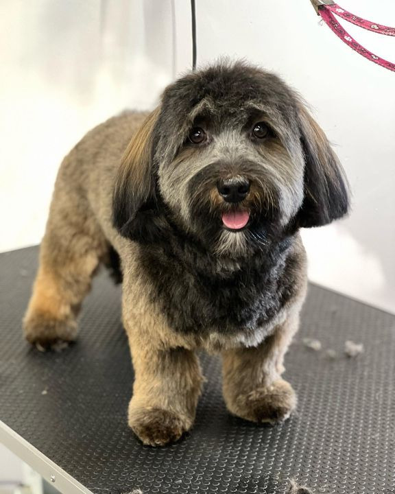 En finger på pulsen i Sæby