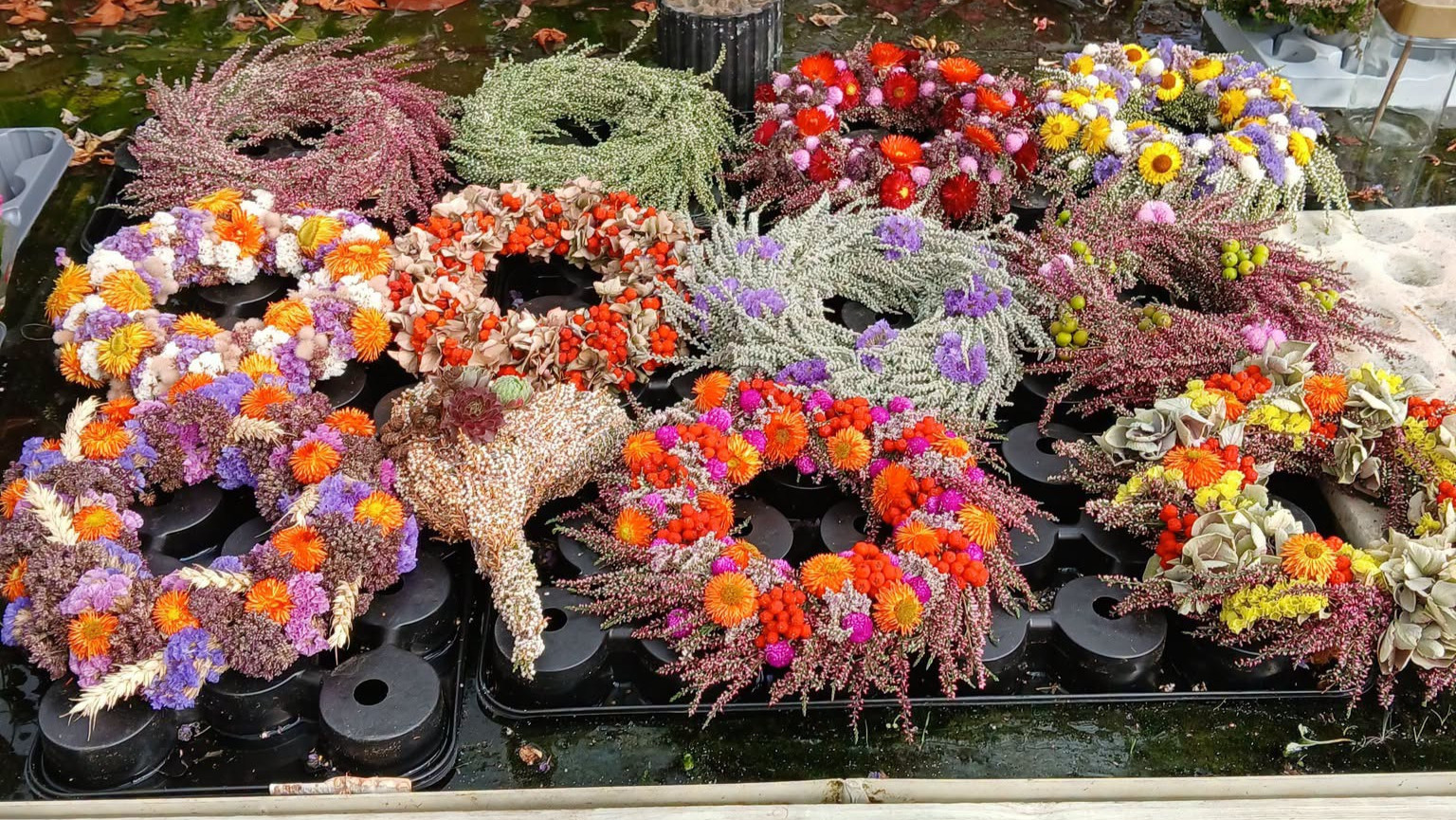 Gartneriet Korshøj fortsætter: Her er stadig masser af liv og blomster