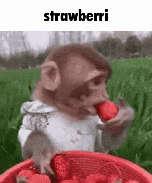 Hold trit med lokalområdet: Nyt fra Sæby