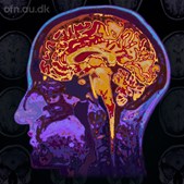 Foredrag om meningsfylde og livskvalitet i Gram