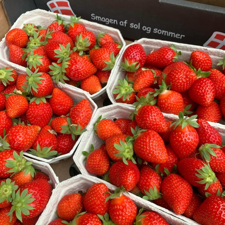 Fru Hansens Butik & Café har fået de første danske jordbær i butikken
