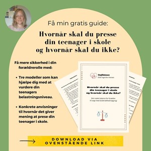 opslagsbillede