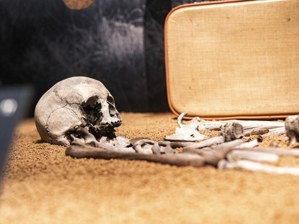 Holstebro Museum fortæller om det mystiske moselig og skelettets rejse gennem tiden