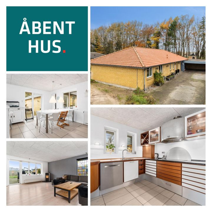 En finger på pulsen i Holstebro