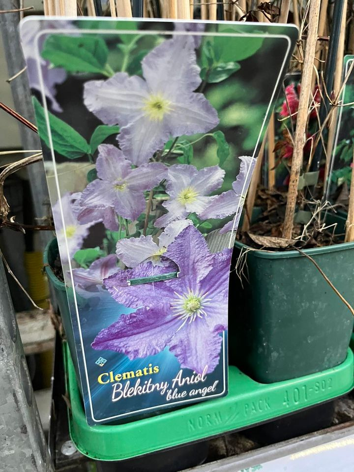 Opslagstavlen: Nyeste opdateringer fra Odder