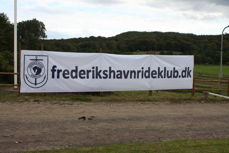 Hestens røgt og pleje - fra mule til hale