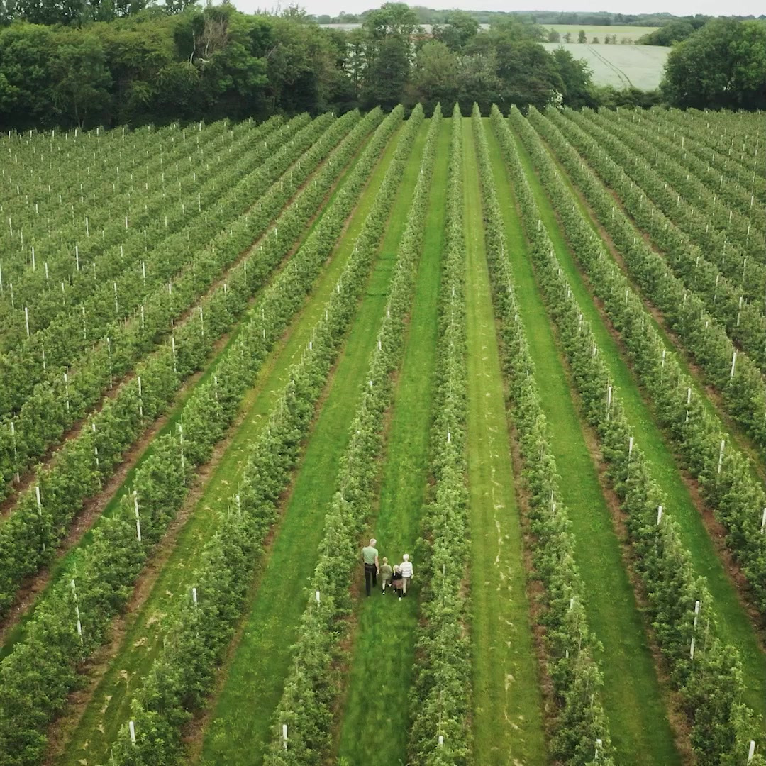 Det nyeste på Viby Js opslagstavle