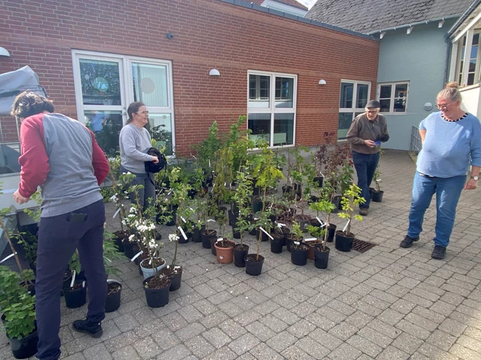 Plantemarked i Hurup: Blomster og forårsstemning