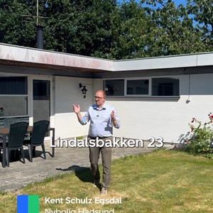 Opslagsbillede