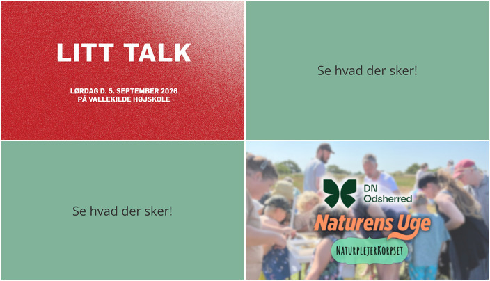 Spændende weekend i Hørve med litteratur og natur