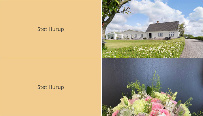 Nyt fra Guldblomsten og EDC Hurup Thy