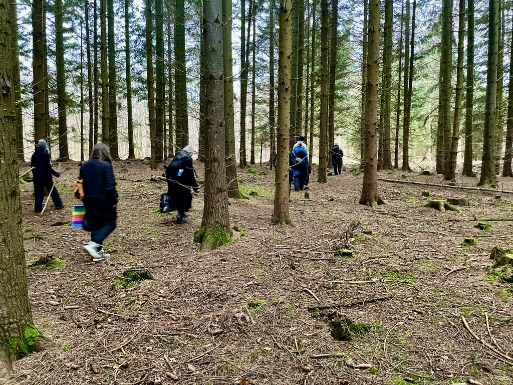 Oplev naturen i detaljer med guidede skovbadsture