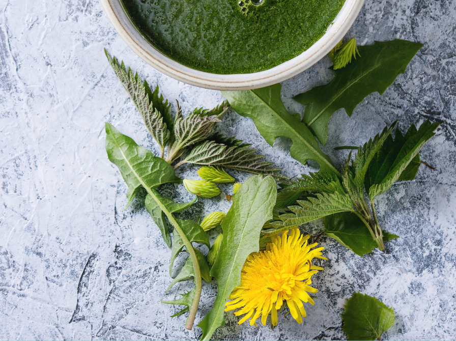 Bliv klogere på forårets ukrudt til onsdagscafé på Tønder Bibliotek
