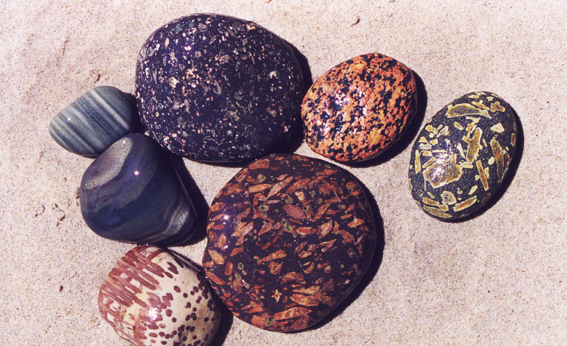 Eventyr og opdagelser for hele familien på Naturhistorisk Museum i Skagen