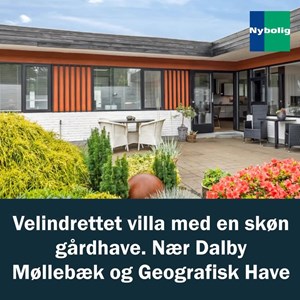 opslagsbillede