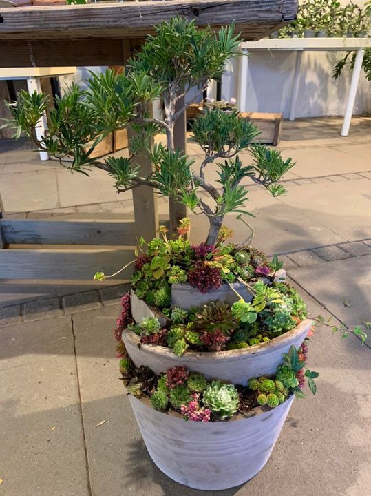 Nyt på opslagstavlen i Brønderslev