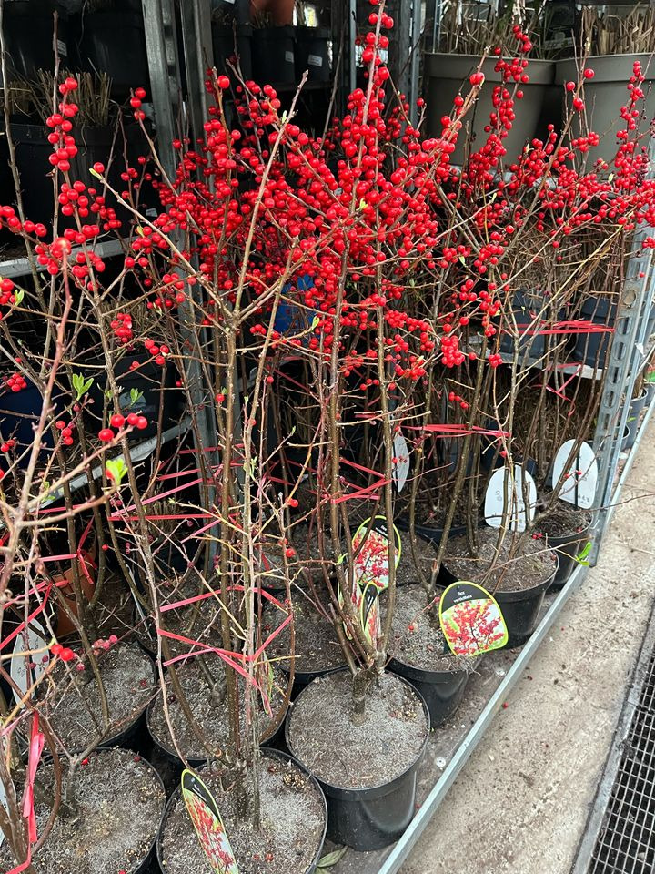 Det nyeste på Odders opslagstavle