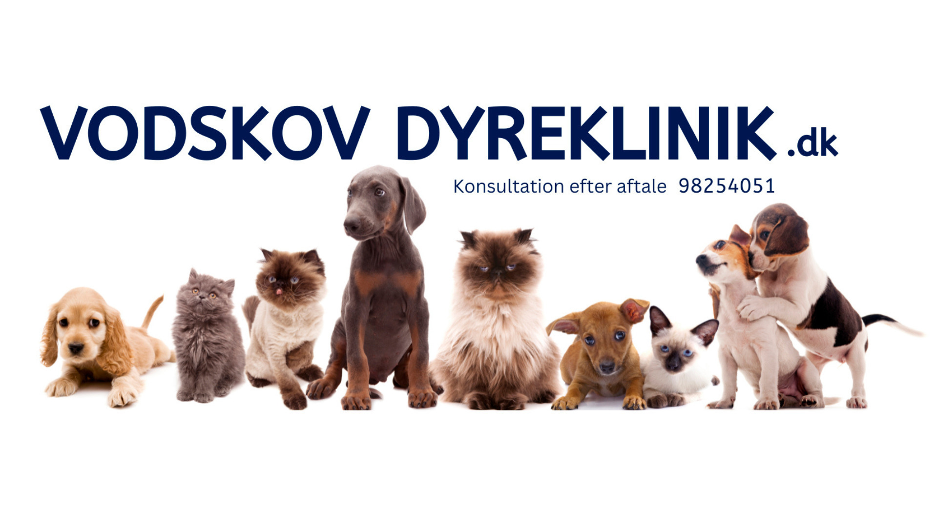 Sundhedsplan og forsikring giver tryghed om kæledyrets helbred og udgifter