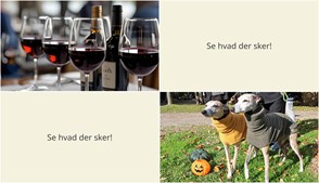 Weekendoplevelser i Ruds Vedby: Portvinssmagning og hundevenlige haver
