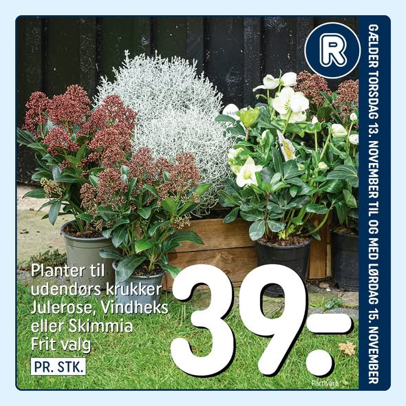 REMA 1000 Halgårdvej frister med weekendtilbud fyldt med julestemning