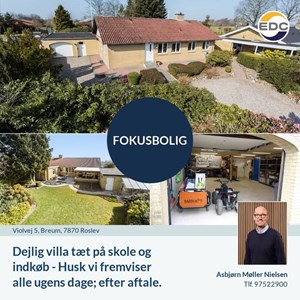 Opslagsbillede