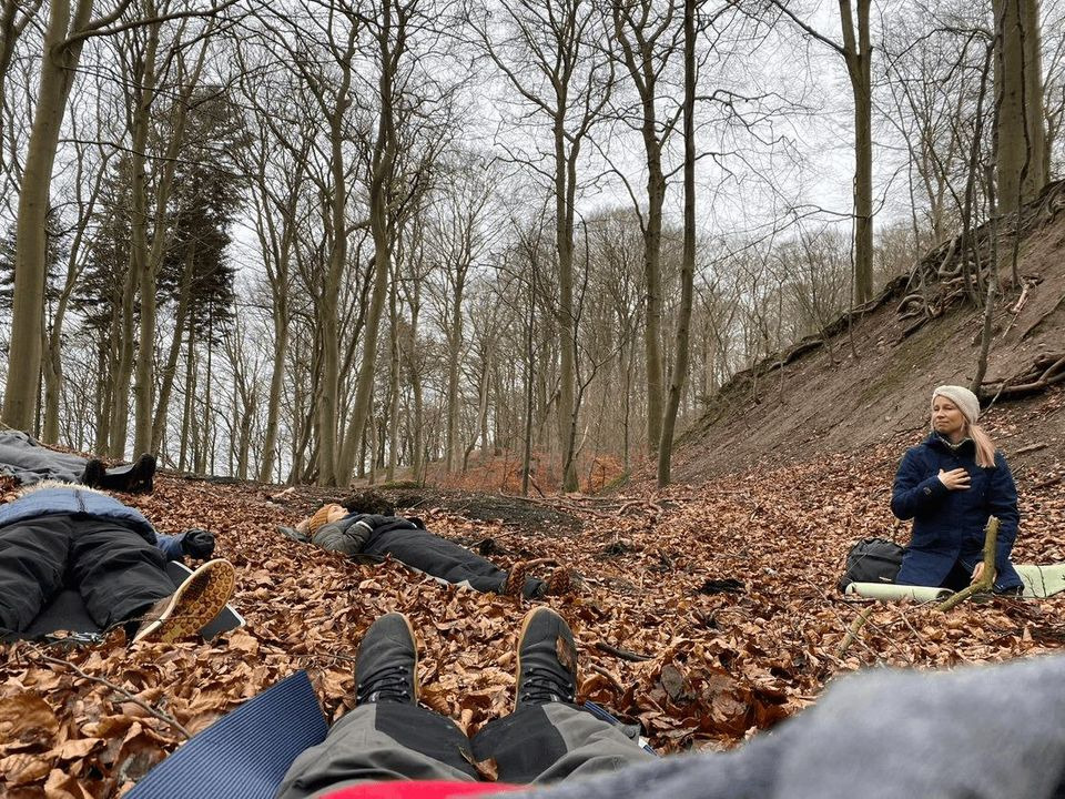 Det nyeste på Hammels opslagstavle