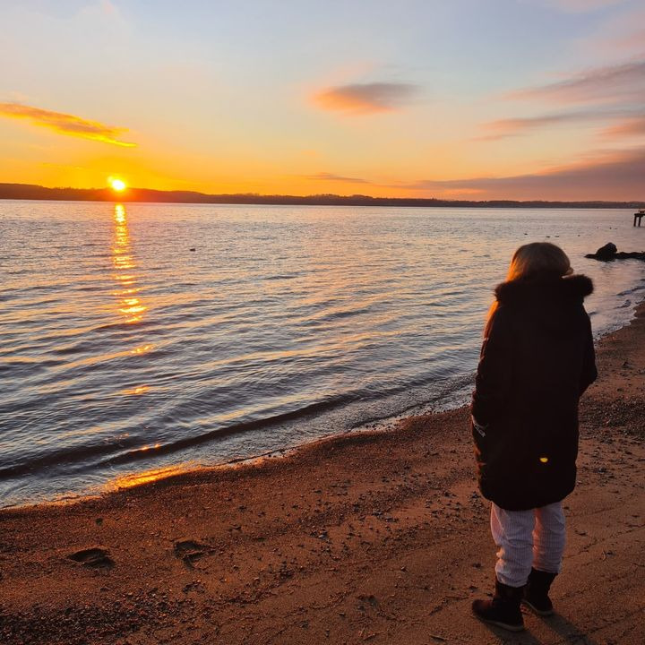 Opslagstavlen: Nyeste opdateringer fra Fredericia