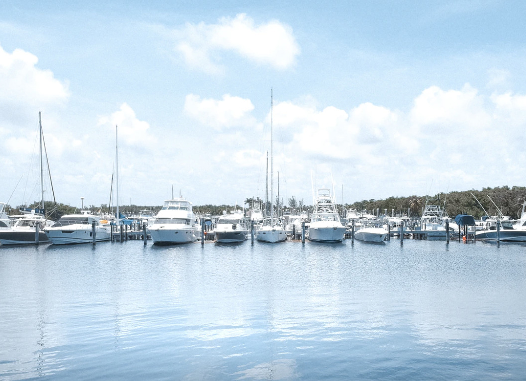 Vesthimmerland Vækster: nyt lokalt erhvervsmagasin 