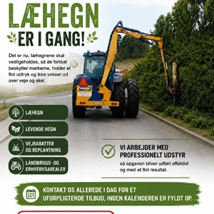 Opslagsbillede