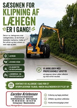 Opslagsbillede