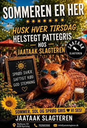 opslagsbillede