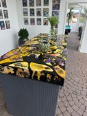 Kunsten på Dolphin Hotel Herning: oplev værker af danske kunstnere