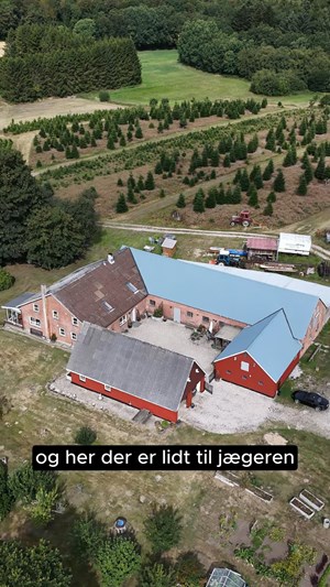 opslagsbillede