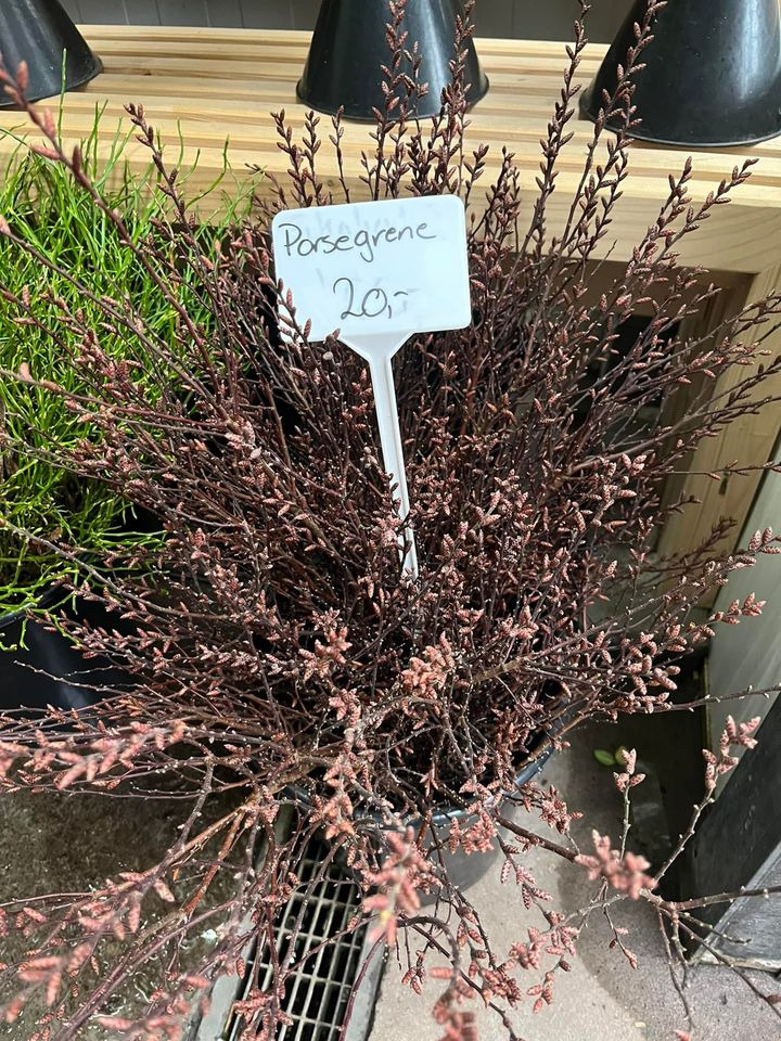 Hold dig ajour med dagens opdateringer fra Odder