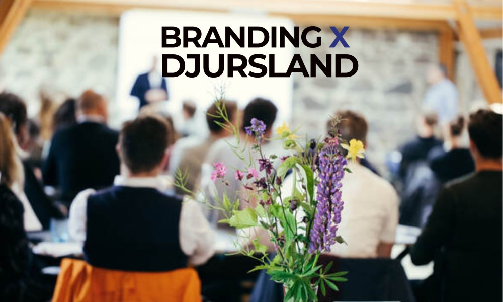 Branding Djursland: En dag med læring og netværk