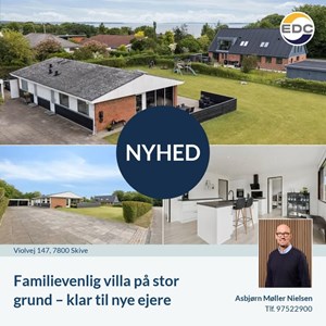Opslagsbillede