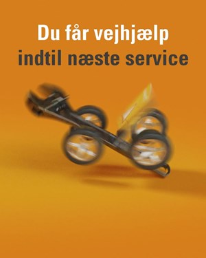 opslagsbillede