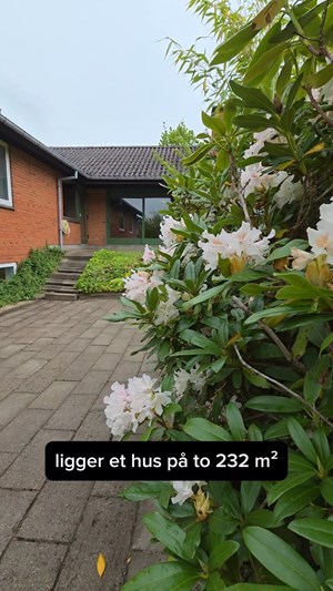 opslagsbillede